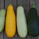 Dieta wegetariańska : Przepisy na dania główne dla miłośników roślin